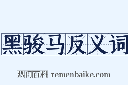黑骏马反义词是什么意思的图片